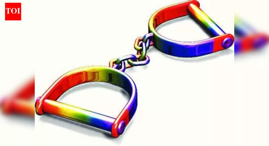 आक्रूडीत सोन्याचे पेंडंट हिसकावणाऱ्या ऑटोचालकाला अटक