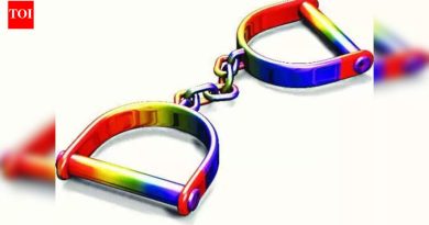 आक्रूडीत सोन्याचे पेंडंट हिसकावणाऱ्या ऑटोचालकाला अटक