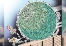 पुणे पोलिसांनी १०४ परदेशी नागरिकांना हद्दपार केले, त्यापैकी ८१ बांगलादेशी