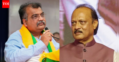 ‘बोलायला लागलो तर अनेक समस्या निर्माण होतील’: महाराष्ट्र भाजपचे प्रमुख रवींद्र चव्हाण यांनी PMC भ्रष्टाचाराच्या आरोपांवर अजित पवारांवर जोरदार प्रहार | पुणे बातम्या
