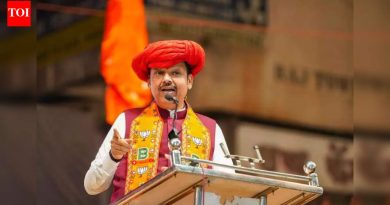 भाजपच्या कामगिरीवर प्रश्नचिन्ह लावण्याआधी लोकांनी आरशात बघावे : अजित पवारांच्या टीकेला फडणवीसांचा सडेतोड उत्तर