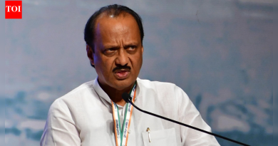 चांगले काम करणाऱ्या कार्यकर्त्यांना भाजपने तिकीट नाकारले, असे अजित पवार म्हणाले