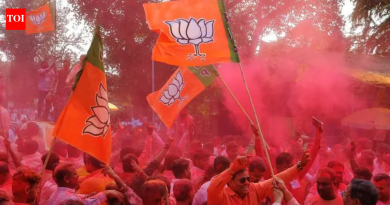 PMC polls: भाजप पुण्याच्या महापौरपदासाठी ‘सरप्राईज पिक’ निवडू शकते; नेत्यांची नजर वरच्या पदावर