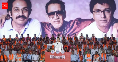 पुणे महानगरपालिका निवडणुकीत पराभव: शिंदे सेना, मनसेला एकही जागा जिंकता आली नाही; UBT एकासाठी मर्यादित; पराभवानंतर पुनरुज्जीवन कार्य सुरू होते
