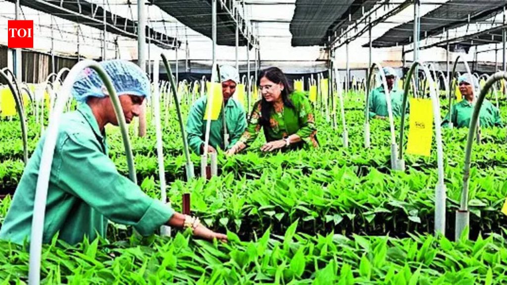 बायोटेक्नॉलॉजी तज्ञाद्वारे महिला आणि शेतकरी सक्षमीकरण | पुणे बातम्या
