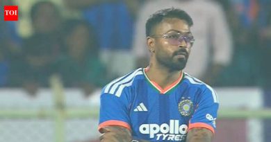 IND vs NZ: हार्दिक पंड्याने चौथ्या T20I दरम्यान शो चोरला – पहा | क्रिकेट बातम्या