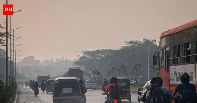 IMD ने कमी थंडीच्या लाटेचे दिवस वर्तवले आहेत, महाराष्ट्रात सौम्य फेब्रुवारी | पुणे बातम्या