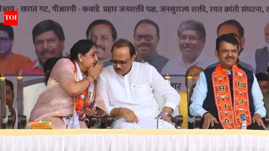 सुनेत्रा बारामती विधानसभा पोटनिवडणूक लढवू शकतात पुणे बातम्या
