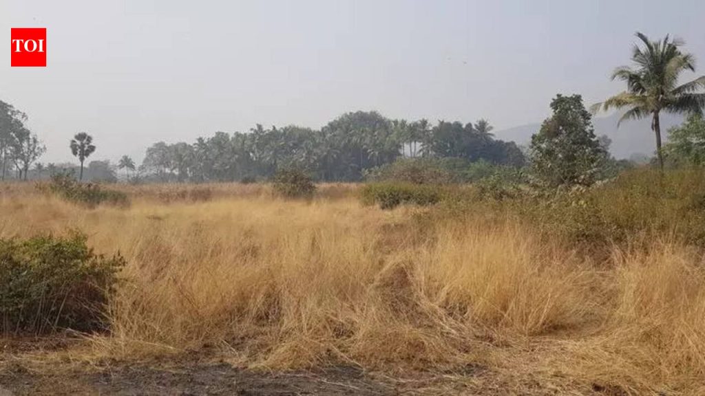 मुद्रांक शुल्क माफी नाही; 10 फेब्रुवारीपर्यंत थकबाकी न भरल्यास अमेडियावर वसुलीची कारवाई