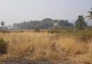 मुद्रांक शुल्क माफी नाही; 10 फेब्रुवारीपर्यंत थकबाकी न भरल्यास अमेडियावर वसुलीची कारवाई