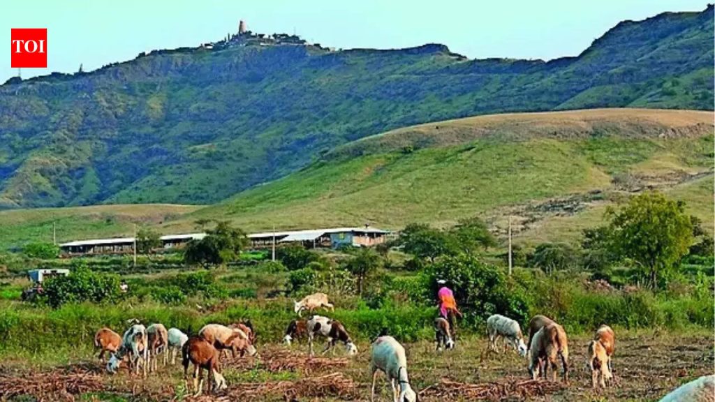 पर्यावरणशास्त्रज्ञांनी महाराष्ट्राचा लँडस्केप इतिहास समजावून सांगण्यासाठी 750 वर्षांच्या मराठी प्रकाशाचा अभ्यास केला