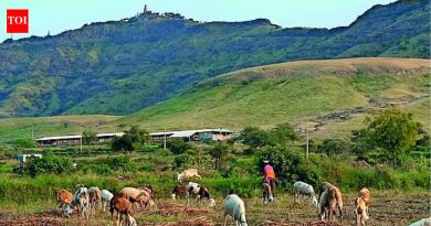 पर्यावरणशास्त्रज्ञांनी महाराष्ट्राचा लँडस्केप इतिहास समजावून सांगण्यासाठी 750 वर्षांच्या मराठी प्रकाशाचा अभ्यास केला