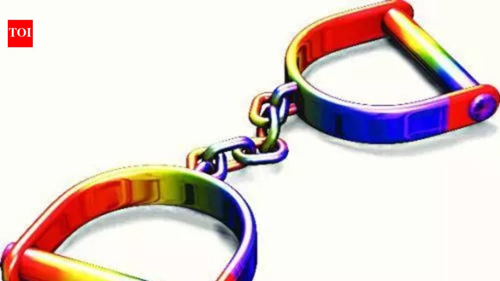 दरोड्याच्या आरोपाखाली गुन्हेगार अटकेत