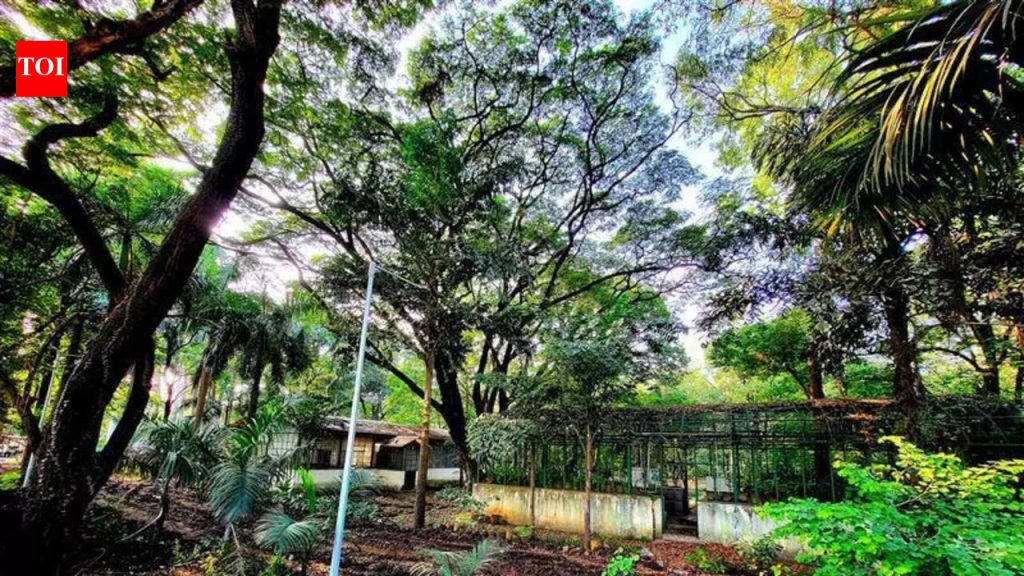 खरगे समितीने शुक्रवारपर्यंत अहवाल सादर करणे अपेक्षित : बावनकुळे