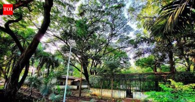 खरगे समितीने शुक्रवारपर्यंत अहवाल सादर करणे अपेक्षित : बावनकुळे