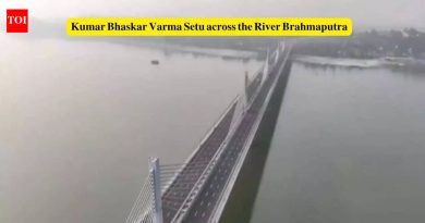 पंतप्रधान नरेंद्र मोदी यांच्या हस्ते कुमार भास्कर वर्मा सेतूचे उद्घाटन; गुवाहाटी, आसाममधील या नवीन पुलाबद्दल 5 मनोरंजक तथ्ये