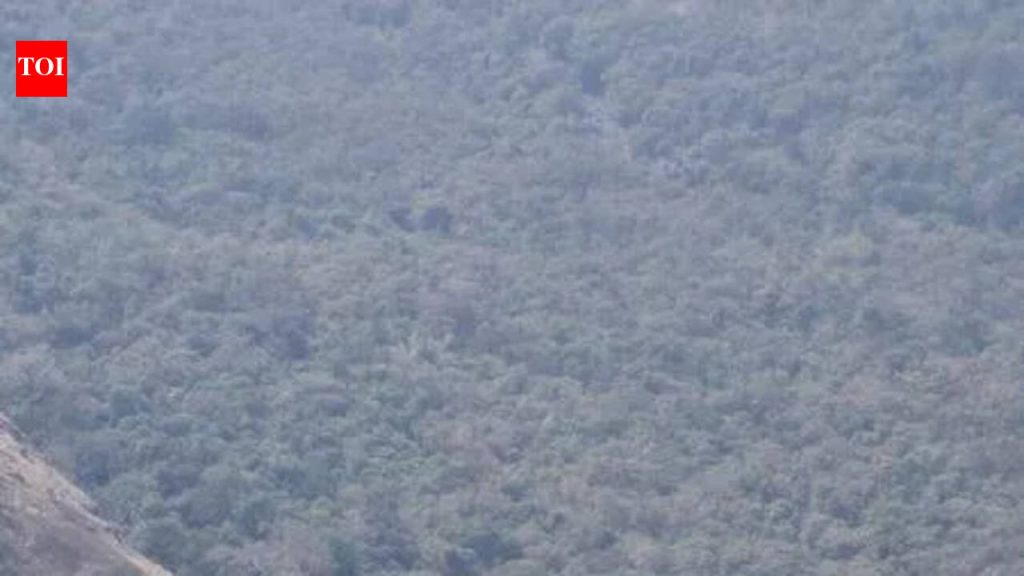 पत्नीच्या वाढदिवशी लोणावळ्याजवळील लायन्स पॉईंटवरून पतीने उडी मारली