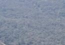 पत्नीच्या वाढदिवशी लोणावळ्याजवळील लायन्स पॉईंटवरून पतीने उडी मारली