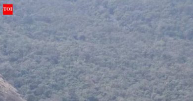 पत्नीच्या वाढदिवशी लोणावळ्याजवळील लायन्स पॉईंटवरून पतीने उडी मारली