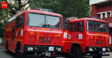 पिंपळे गुरव येथे चार गोदामे जळून खाक