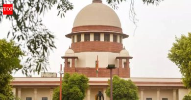 पोर्श क्रॅश प्रकरण: समानतेच्या आधारावर SC ने आणखी एका सहआरोपीला जामीन मंजूर केला