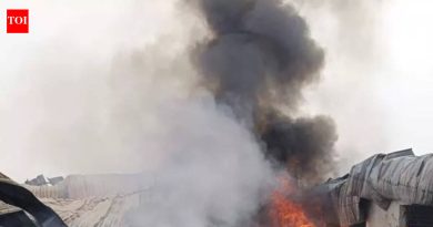 लोहेगाव-वाघोली मार्गावरील कंपनीला भीषण आग; जीवितहानी नाही