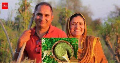 “माझा रक्तदाब 160 होता. माझ्यासाठी हा एक वेक-अप कॉल होता”: या तंत्रज्ञाने ₹३० लाखांचा ऑरगॅनिक ब्रँड तयार करण्यासाठी किफायतशीर IT नोकरी कशी सोडली