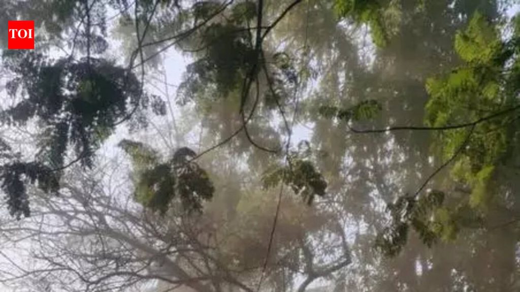 बांधकाम धुळीवर नियंत्रण ठेवण्याची मागणी ‘ब्रेथलेस’ नागरिकांची