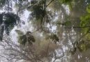बांधकाम धुळीवर नियंत्रण ठेवण्याची मागणी ‘ब्रेथलेस’ नागरिकांची बांधकाम धुळीवर नियंत्रण ठेवण्याची मागणी ‘ब्रेथलेस’ नागरिकांची