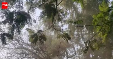 बांधकाम धुळीवर नियंत्रण ठेवण्याची मागणी ‘ब्रेथलेस’ नागरिकांची