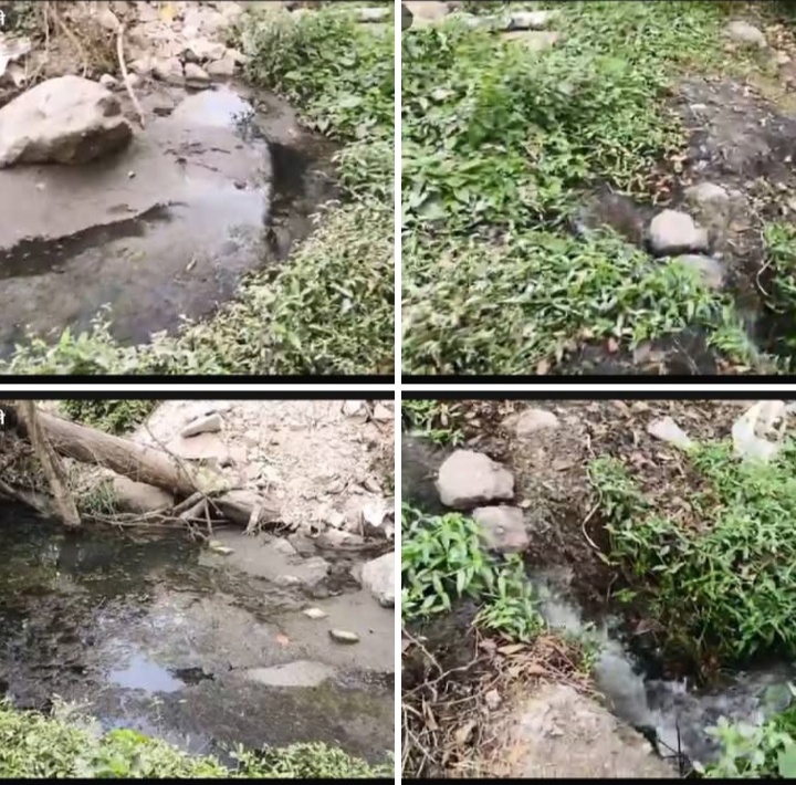 शिरगावमध्ये अभिमान टाऊनशिपच्या मैलापाण्याने शेती उद्ध्वस्त. सहा वर्षांपासून शेत पडीक