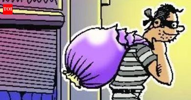 यूपीस्थित टोळीच्या दोन सदस्यांना घरफोडीप्रकरणी अटक