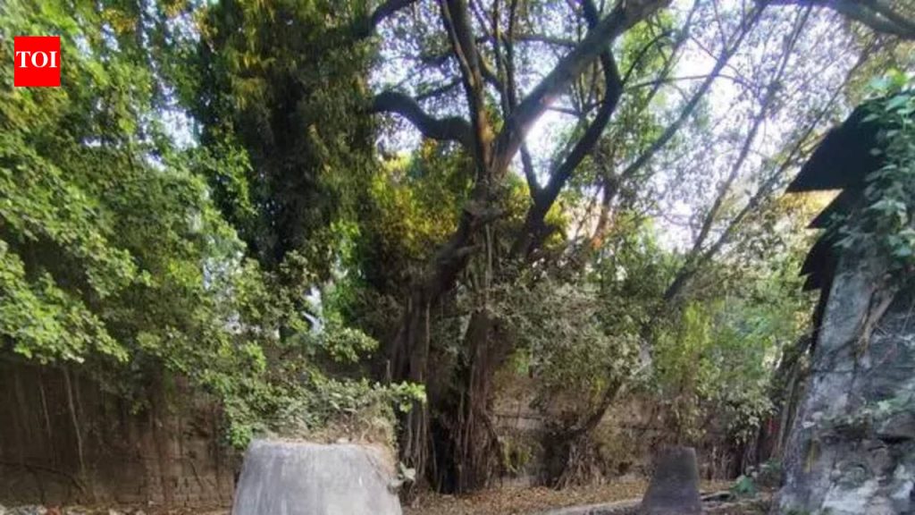 पीएमसीची मान्सूनपूर्व कामे लवकरच सुरू होणार असून, पाणी साचण्याची शक्यता असलेल्या ठिकाणांच्या साफसफाईवर भर