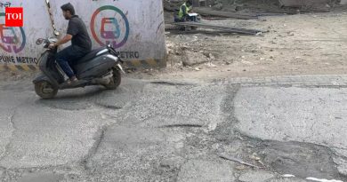 निगडी-चिंचवड मेट्रोच्या कामाची तातडीने दुरुस्ती करण्याची प्रवाशांची मागणी, मनसेचा २५ मार्चपासून आंदोलनाचा इशारा