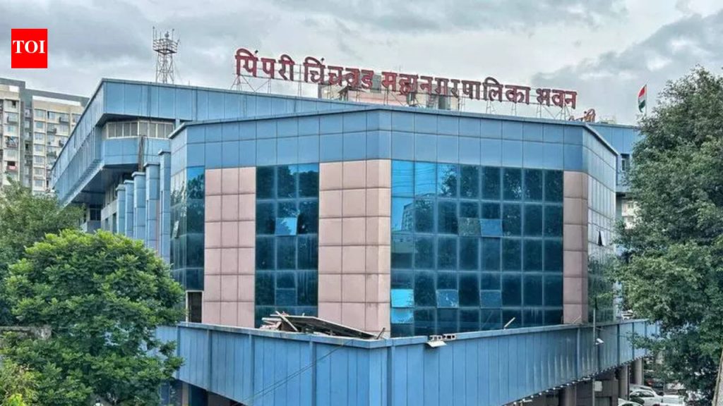 50 कोटी रुपये छत्रपती संभाजी महाराज पुतळ्याच्या कामाला पीसीएमसी साइट भेटीनंतरच मंजुरी देईल