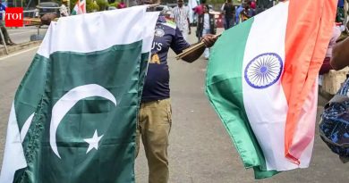 शाहिद आफ्रिदी किंवा शोएब अख्तर नाही: आयपीएल फायनल खेळणारा शेवटचा पाकिस्तानी स्टार | थ्रोबॅक