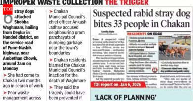 भटक्या कुत्र्यांच्या नियंत्रणासाठी चाकणचे रहिवासी नागरी संस्थेला दोष देतात