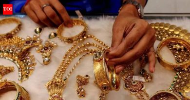 व्यवस्थापकाने डमी ग्राहक वापरून 12L चे सोने कर्ज मंजूर केले, बुक केले