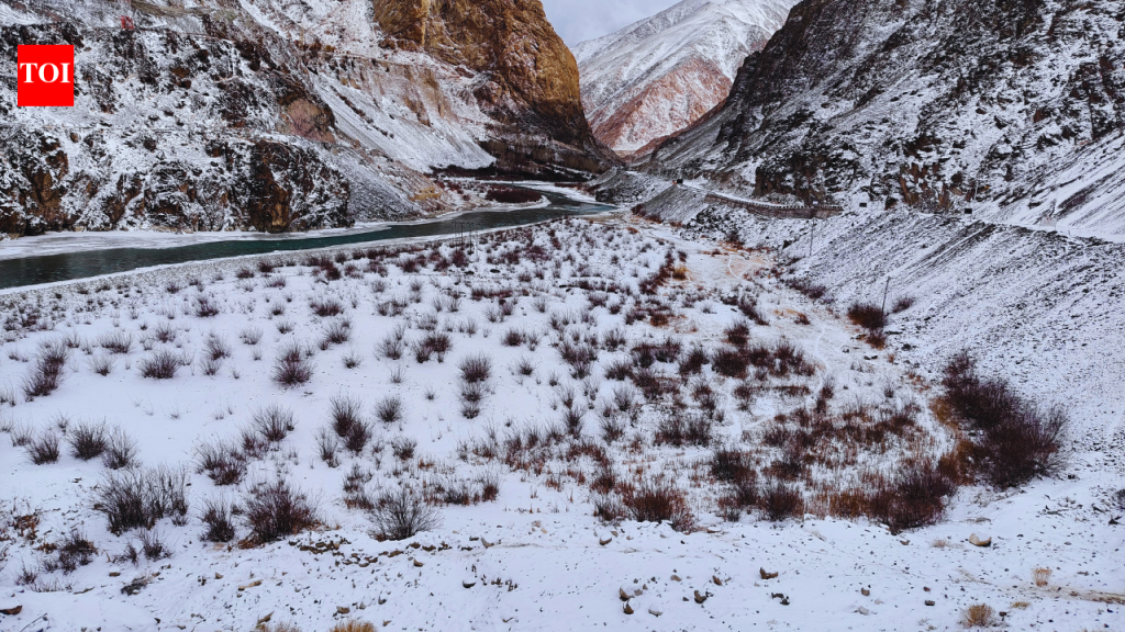 सध्या सायबेरियापेक्षा द्रास थंड आहे: लडाखच्या सर्वात थंड गावात बर्फाने पकडलेला प्रदेश म्हणून अत्यंत थंडीची नोंद केली आहे |