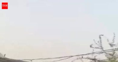 हायसिंथ, कचरा अडवल्यामुळे बेबी कॅनॉलचे पाणी ओव्हरफ्लो होते, मांजरी परिसरात पूर येतो