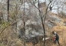 मानवनिर्मित आगीमुळे पुण्याची हिरवीगार जागा जळून खाक झाली