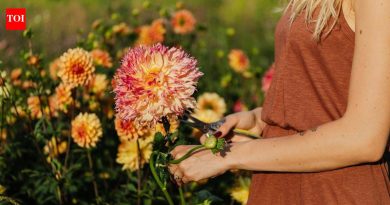 8 सुंदर फुले जी स्टेम कटिंग्जमधून सहजपणे पसरतात