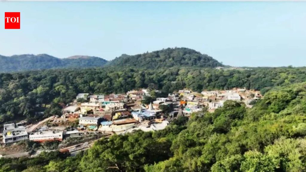 भीमाशंकर पुनर्वसन मंदिर परिसरात गर्दी कमी करण्याची योजना मंजुरीच्या आणखी एक पाऊल पुढे आहे