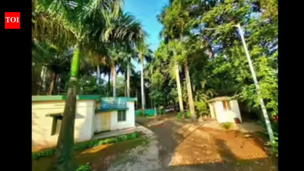 तलाठी व मंडळ अधिकारी यांनी फेरफार याचिका रोखली, – पाठपुरावा केला त्रुटी | पुणे बातम्या