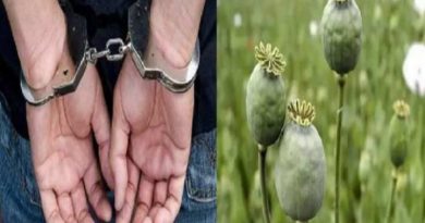 मावळात अमली पदार्थांविरोधात पोलिसांचा मोठा धडाका; ९८० ग्रॅम अफिम जप्त, तरुण जेरबंद