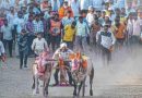 १०.५२ सेकंदात माउली-पिस्टन जोडी ची झेप; तळेगावात प्रथमच छकडी स्पर्धेचा ऐतिहासिक थरार