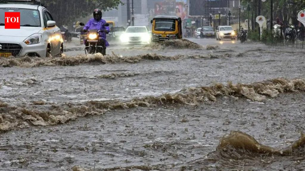 पावसादरम्यान पूर येण्यासाठी कचरा की ट्रिगर, PMC ऑडिट दाखवते