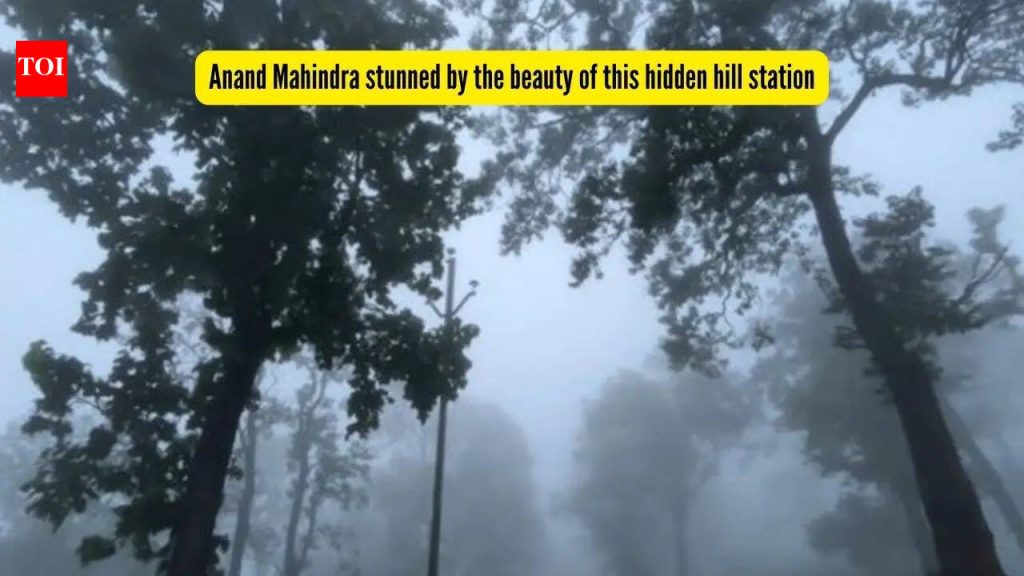 झारखंडमधील हे लपलेले हिल स्टेशन पाहून आनंद महिंद्राला सुखद धक्का बसला, “मीही त्याबद्दल दोषी आहे”
