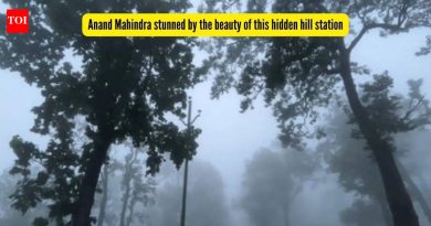 झारखंडमधील हे लपलेले हिल स्टेशन पाहून आनंद महिंद्राला सुखद धक्का बसला, “मीही त्याबद्दल दोषी आहे”
