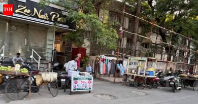 पुण्याच्या बायलेन्सची धूळधाण उडाली: एलपीजी टंचाईमुळे रस्त्यावरील खाद्यपदार्थ विक्रेत्यांना सुट्टी द्यावी लागते